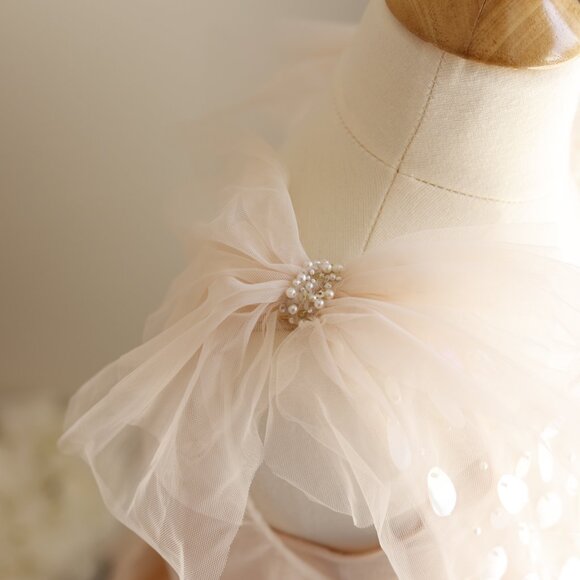 Tutu Du Monde Heart of Glass Tutu Tulle Dress Vanilla Size 10/11 NWT Party - Picture 5 of 9